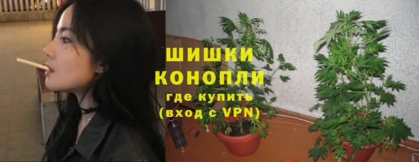 дживик Нея