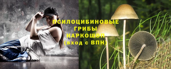 дживик Нея