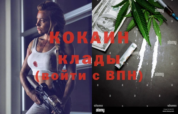 дживик Нея