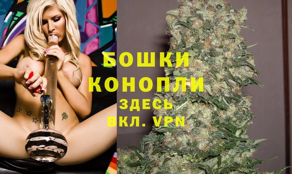 дживик Нея