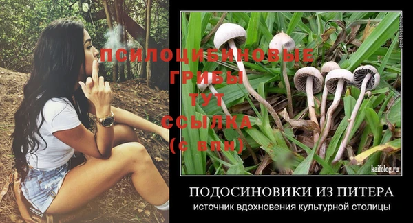 гидра Нефтегорск