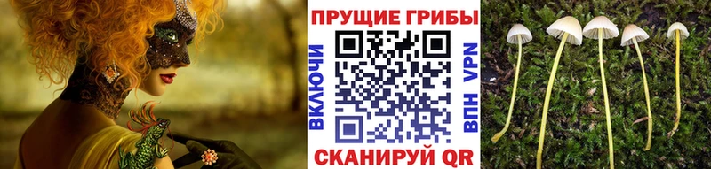 Галлюциногенные грибы мухоморы Мезень